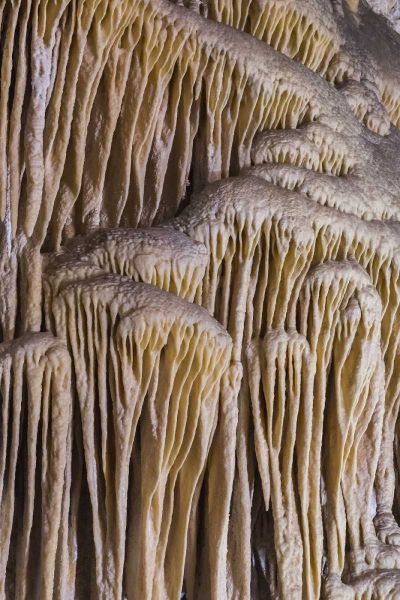 New Mexico, Carlsbad Caverns Limestone formation